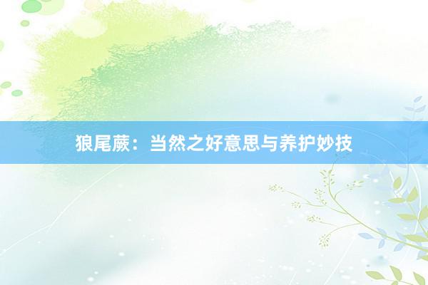 狼尾蕨：当然之好意思与养护妙技